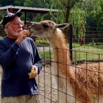 Smoky Mountain Deer Farm Feed a Llama